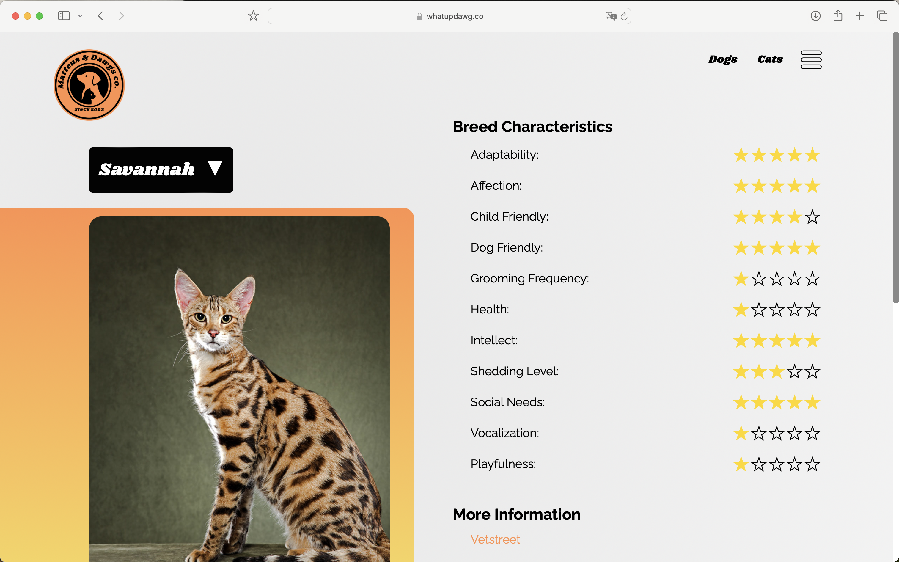 Image of the Portfolio website